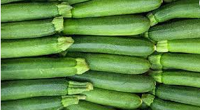 zucchin